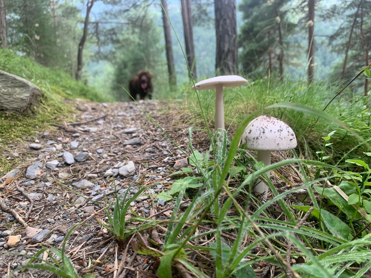 IMG_6258 - ultimas soraya (6).JPEG