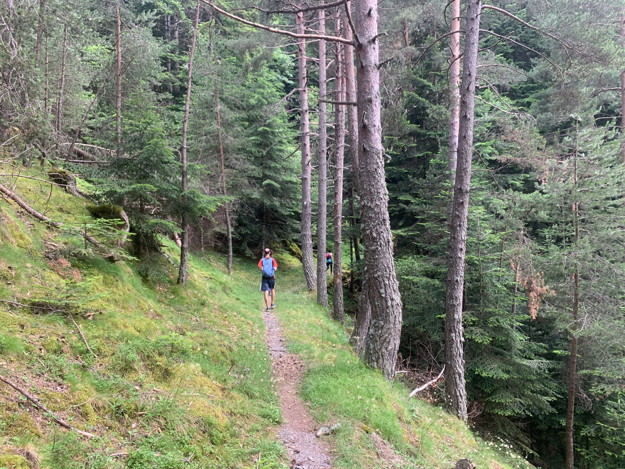 IMG_6258 - ultimas soraya (8).JPEG