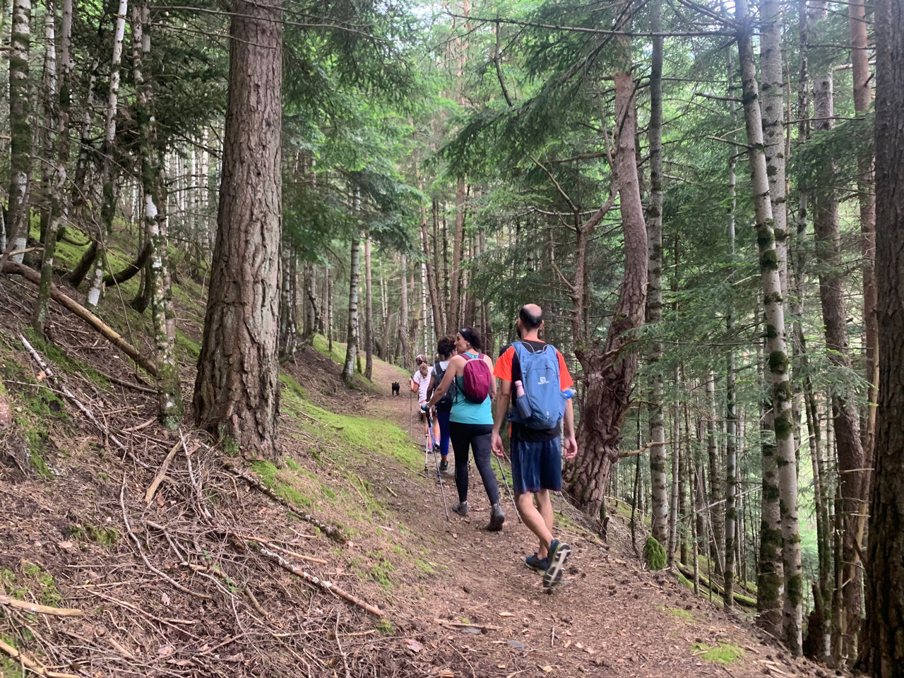 IMG_6258 - ultimas soraya (9).JPEG