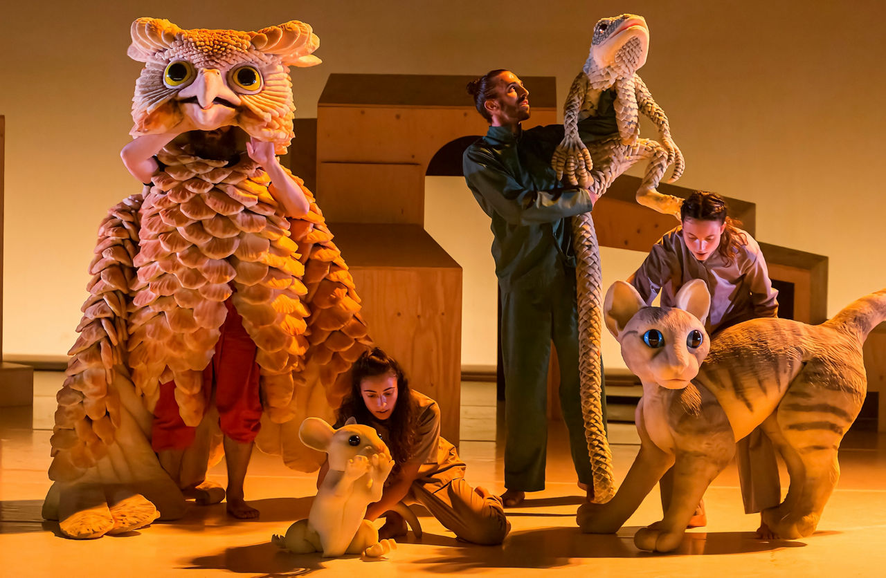 La Gata que volia canviar la història.jpg