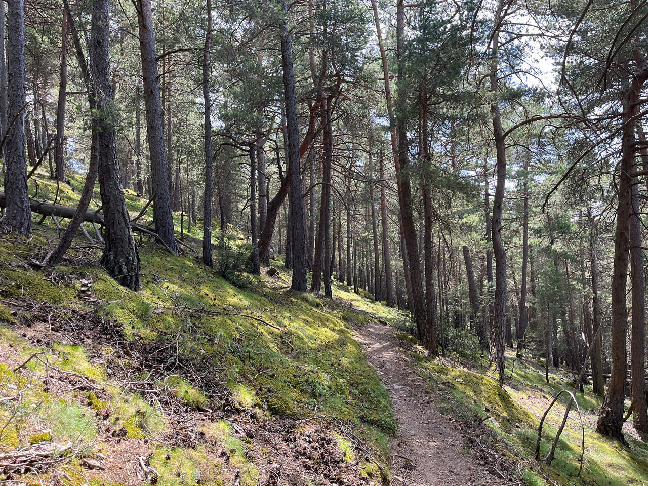La Rabassa - cami de St Cristofol1.jpeg