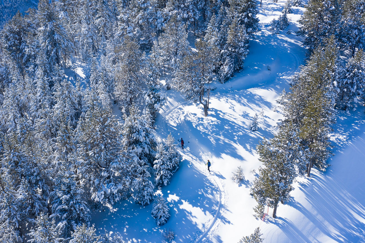 /content/dam/visitandorra/ca/assets/images/què-fer/natura/esqui/estació-esquí-pal-arinsal/PAL ARINSAL 5.jpg