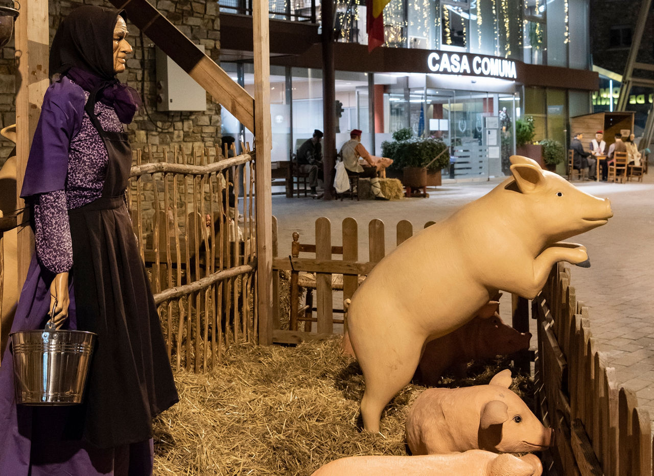 PESSEBRE 20241205 13.jpg