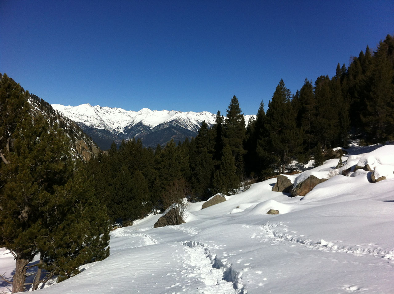 Pleta dels Graus PERAFITA.JPG