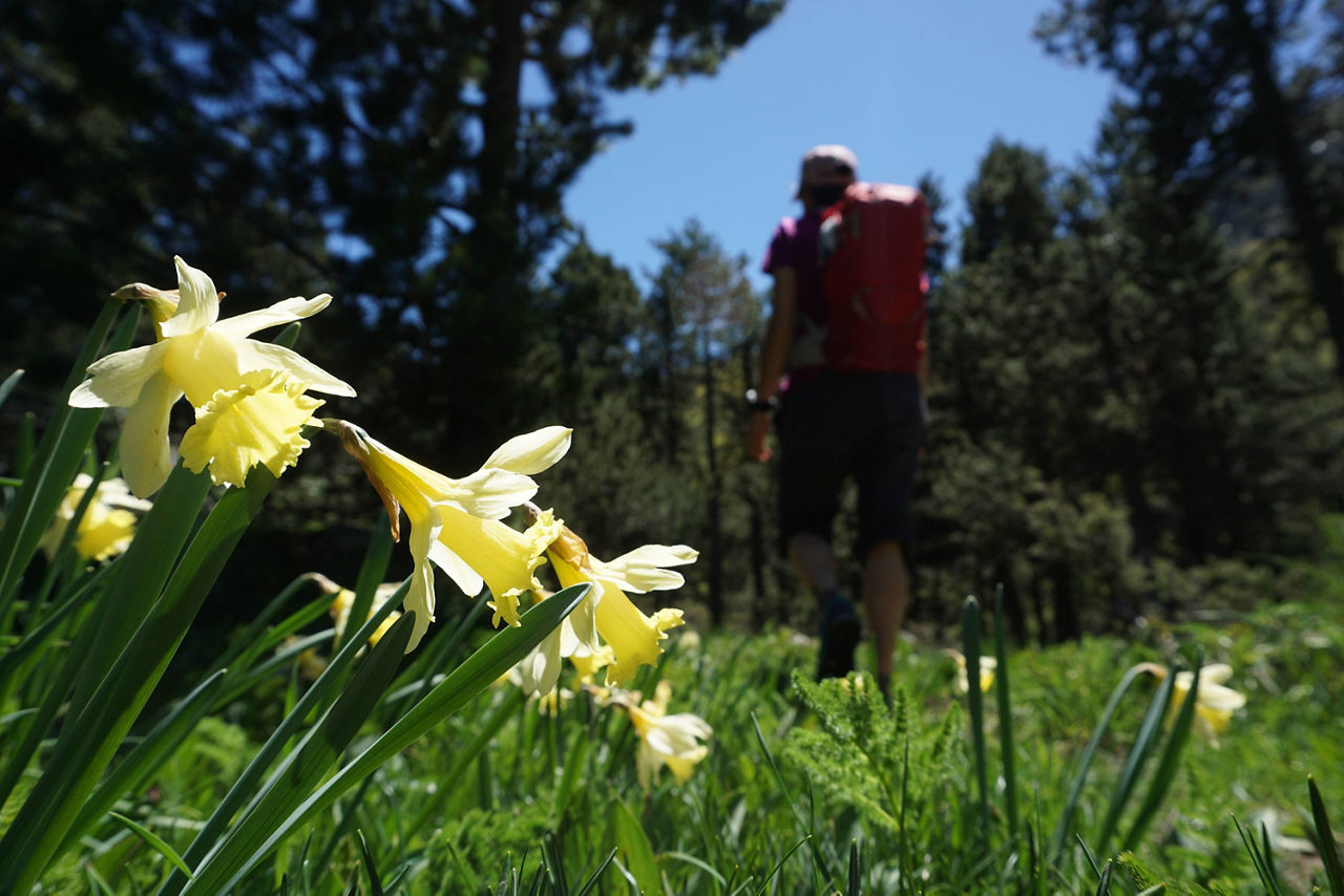 /content/dam/visitandorra/ca/assets/images/què-fer/natura/recomanacions-muntanya/Senderisme 7-compressed.jpg