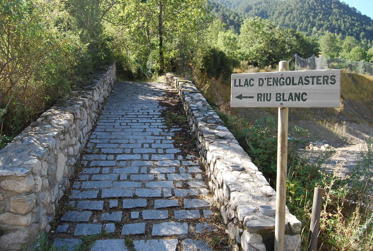 TRAM2-Retol carretera.JPG