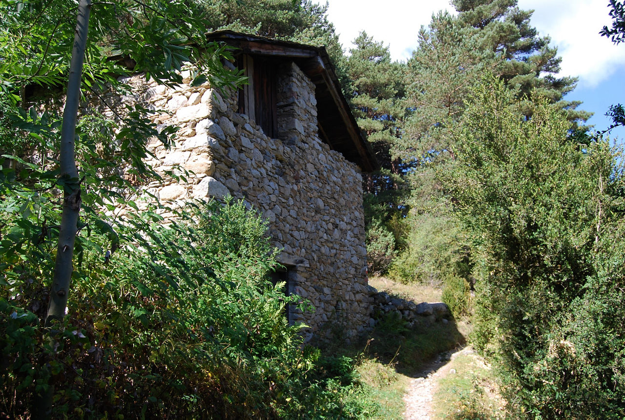 TRAM4-Borda del Cresper.JPG