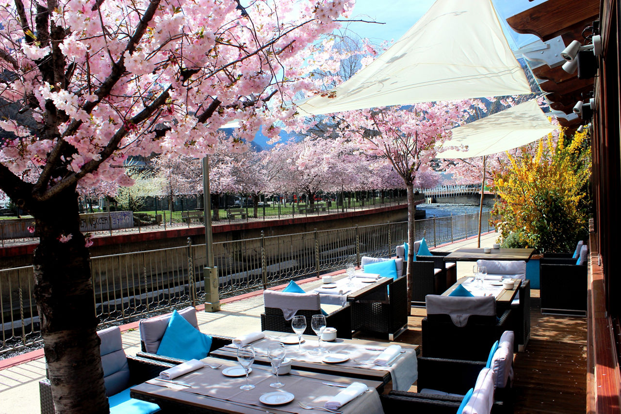 /content/dam/visitandorra/ca/assets/images/què-fer/gastronomia/terrasses-gastronòmiques-estiu/Terrassa plató 1.jpg