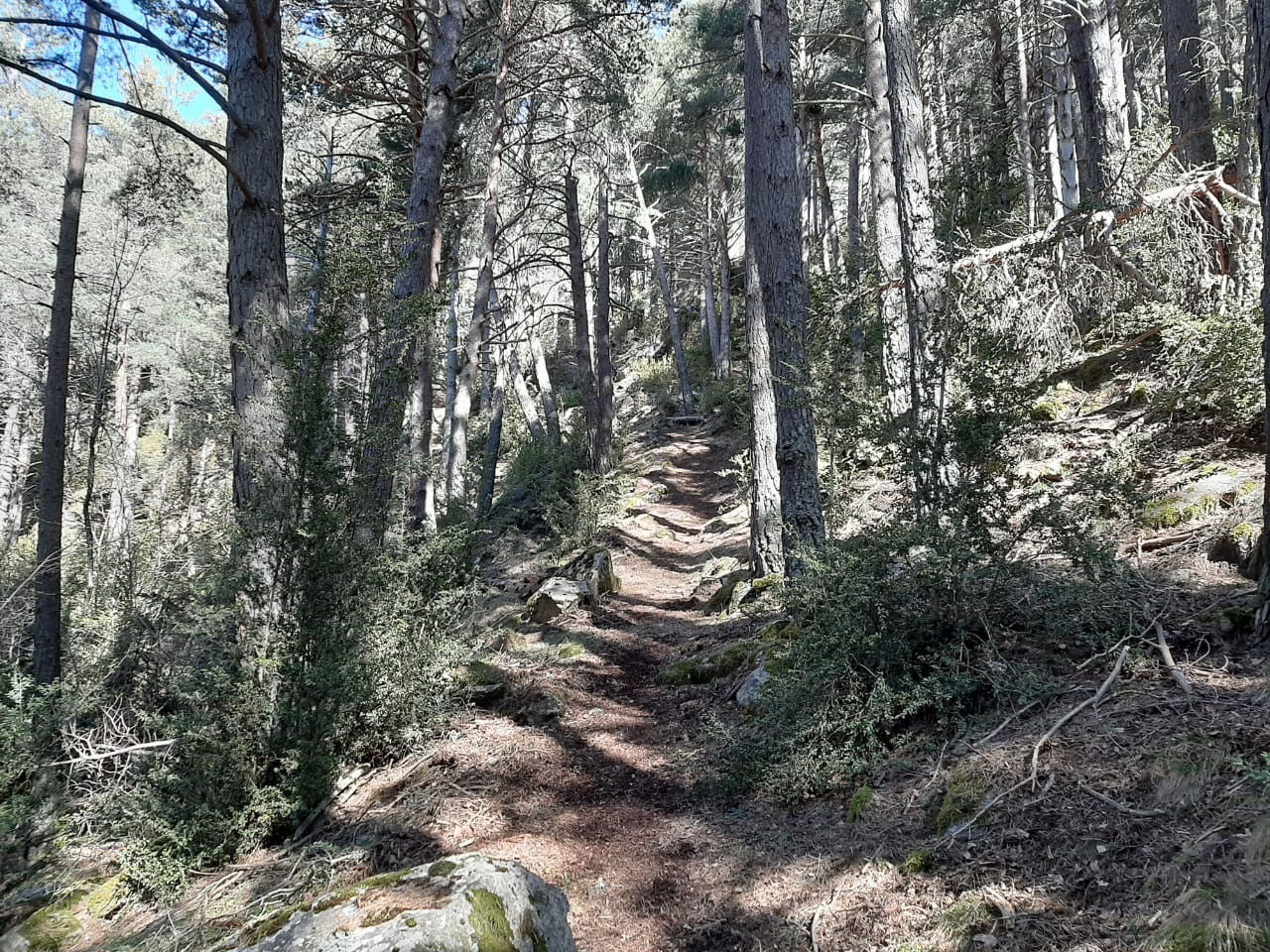 Trabajos escaldes 5.jpeg