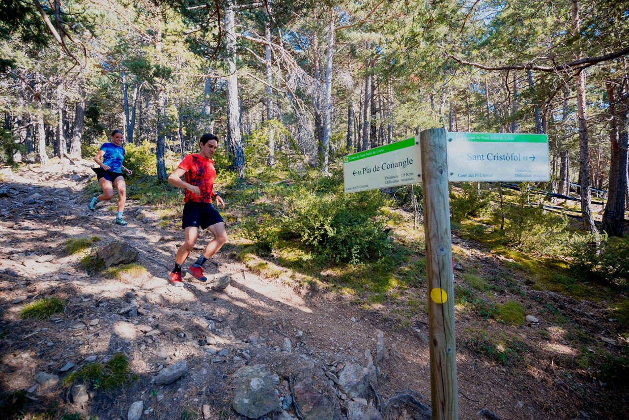 Trail.jpg