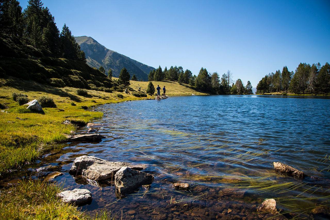 alca_20130904_0841_estany_de_la_nou.jpg