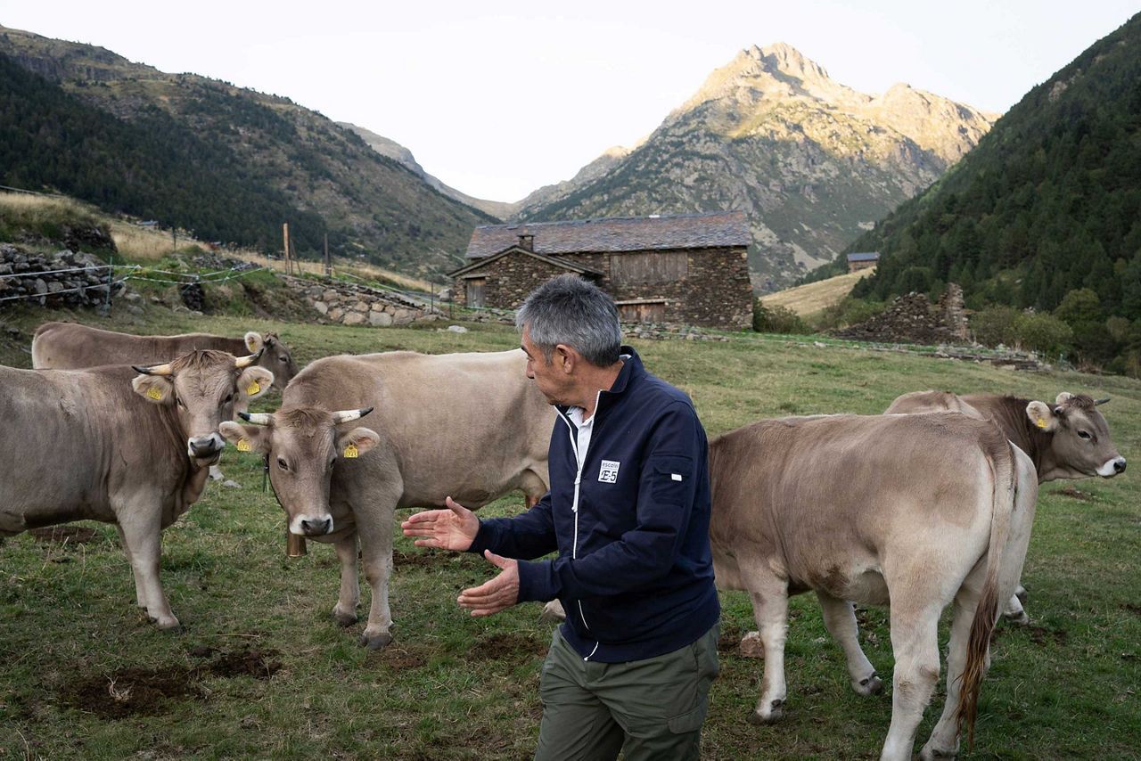 /content/dam/visitandorra/ca/assets/images/què-fer/natura/national-geographic---on-germinen-les-idees/andorra_24.jpg