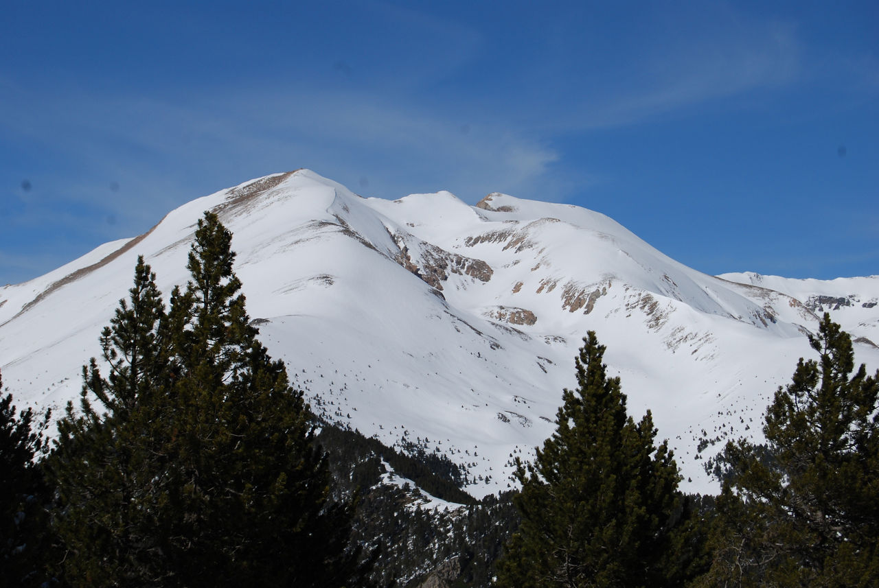 bony de les neres 1 (3 Casamanyes).JPG