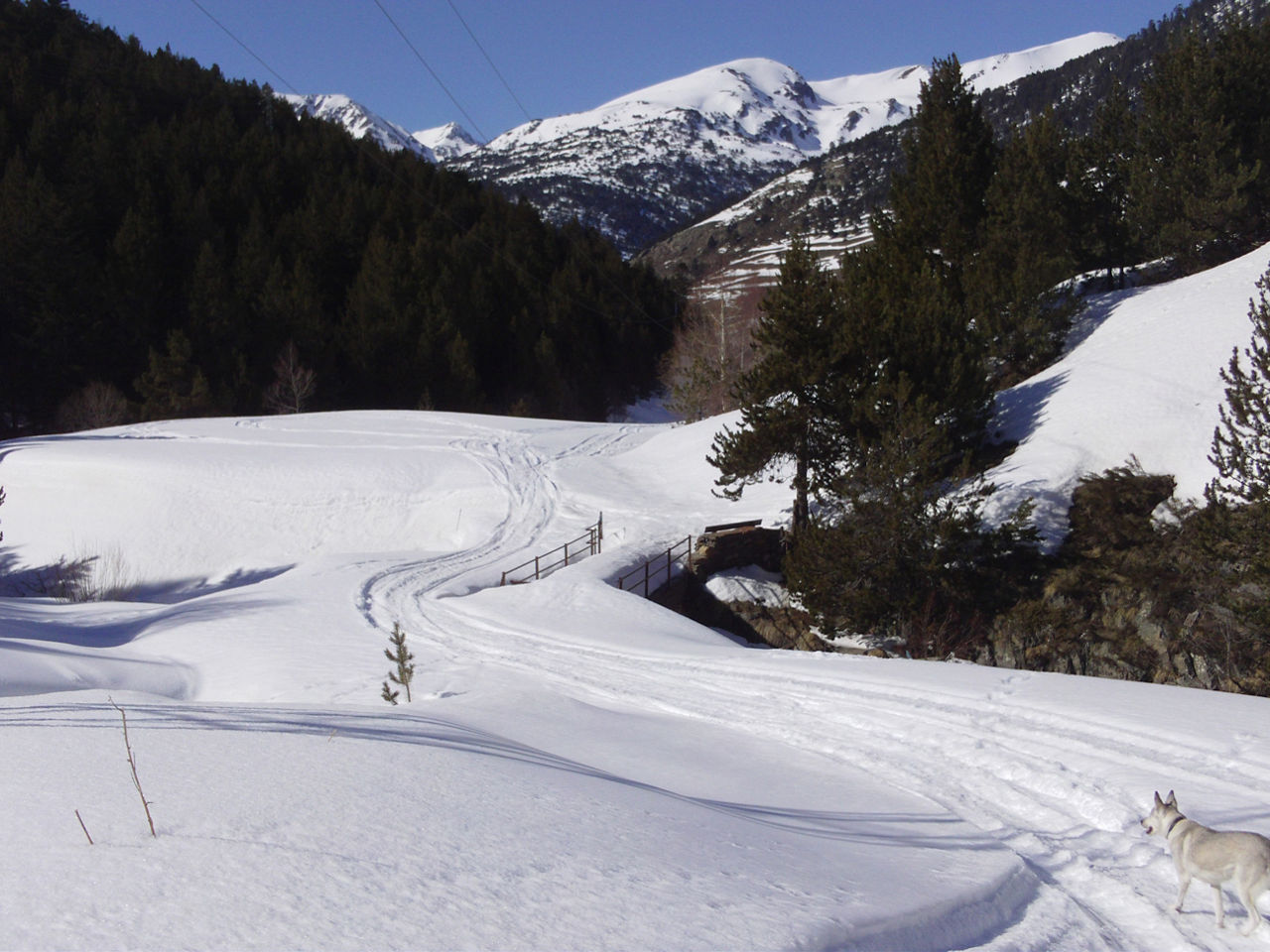bordes-envalira-header.jpg