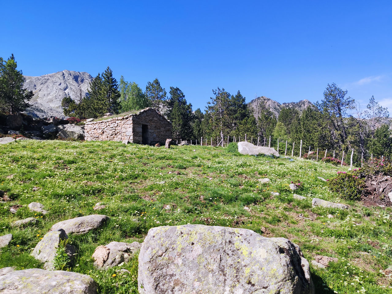cabana de la vall Madriu-1.jpg