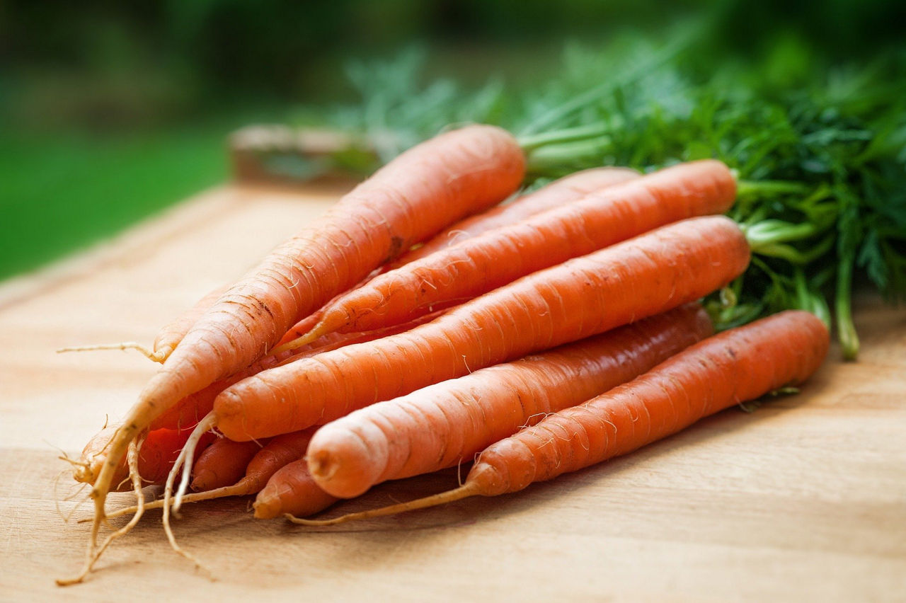 /content/dam/visitandorra/ca/assets/images/què-fer/gastronomia/receptes-d'andorra/canelons-a-l’andorrana/carrots-g71fa8b905_1920.jpg