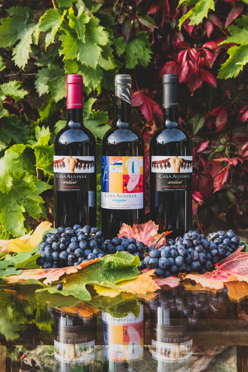 casa auvinya Botelles.jpg