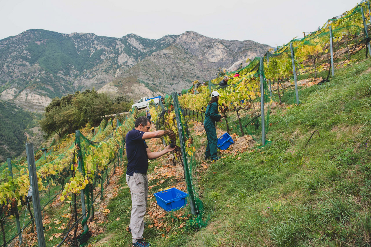 casa auvinya viña andorra.jpg