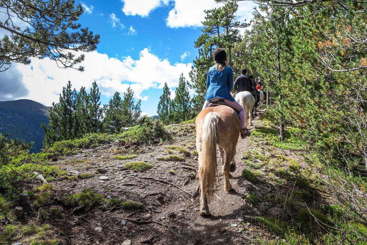 /content/dam/visitandorra/ca/assets/images/què-fer/natura/distribuidora-natura/cavalls-min.jpg
