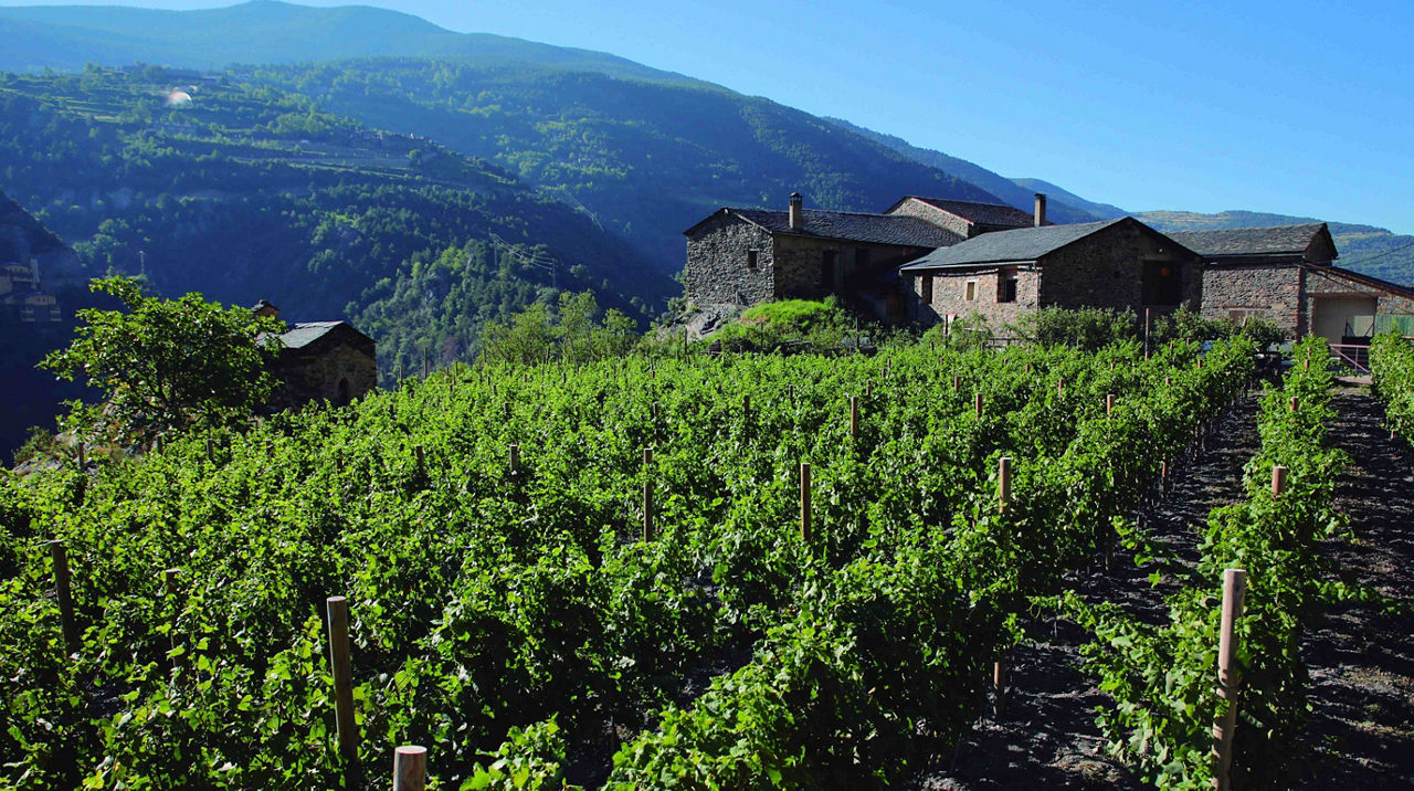 /content/dam/visitandorra/ca/assets/images/què-fer/cultura/cultural-itineraries/sant-julia-de-loria/celler Mas Berenguer.jpg