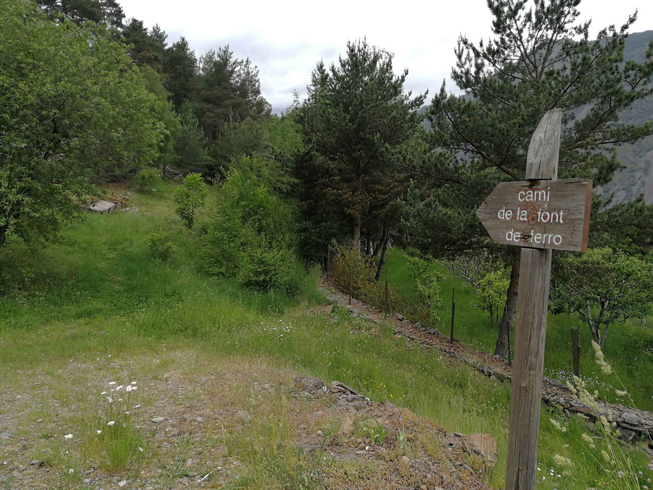 /content/dam/visitandorra/ca/assets/images/què-fer/natura/itineraris/trail-running-itineraries/circuit basses roges.jpg