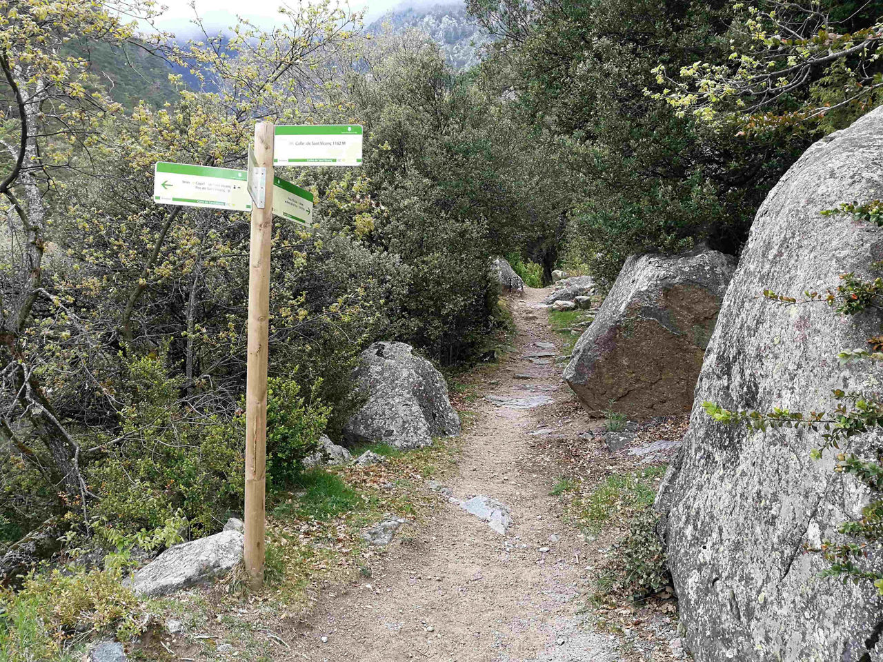 /content/dam/visitandorra/ca/assets/images/què-fer/natura/itineraris/trail-running-itineraries/circuit bony de la pica.jpg