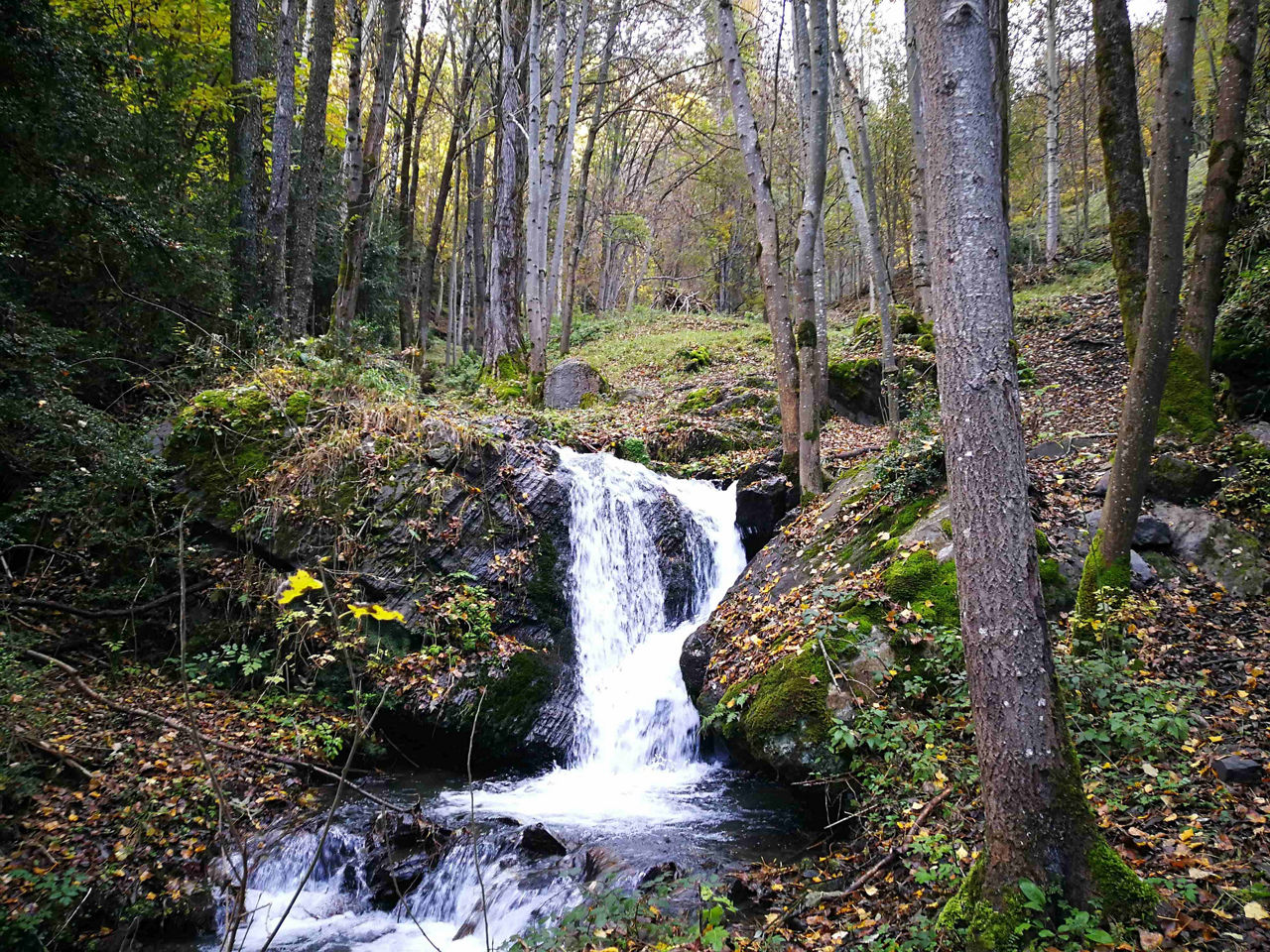 /content/dam/visitandorra/ca/assets/images/què-fer/natura/itineraris/trail-running-itineraries/circuit mitja sant julia.jpg