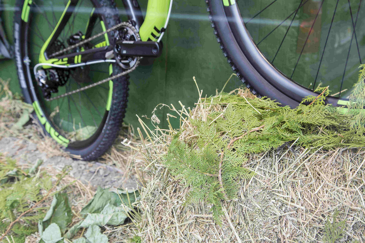 /content/dam/visitandorra/ca/assets/images/què-fer/natura/ciclisme/empreses-/com nou skiz.jpg