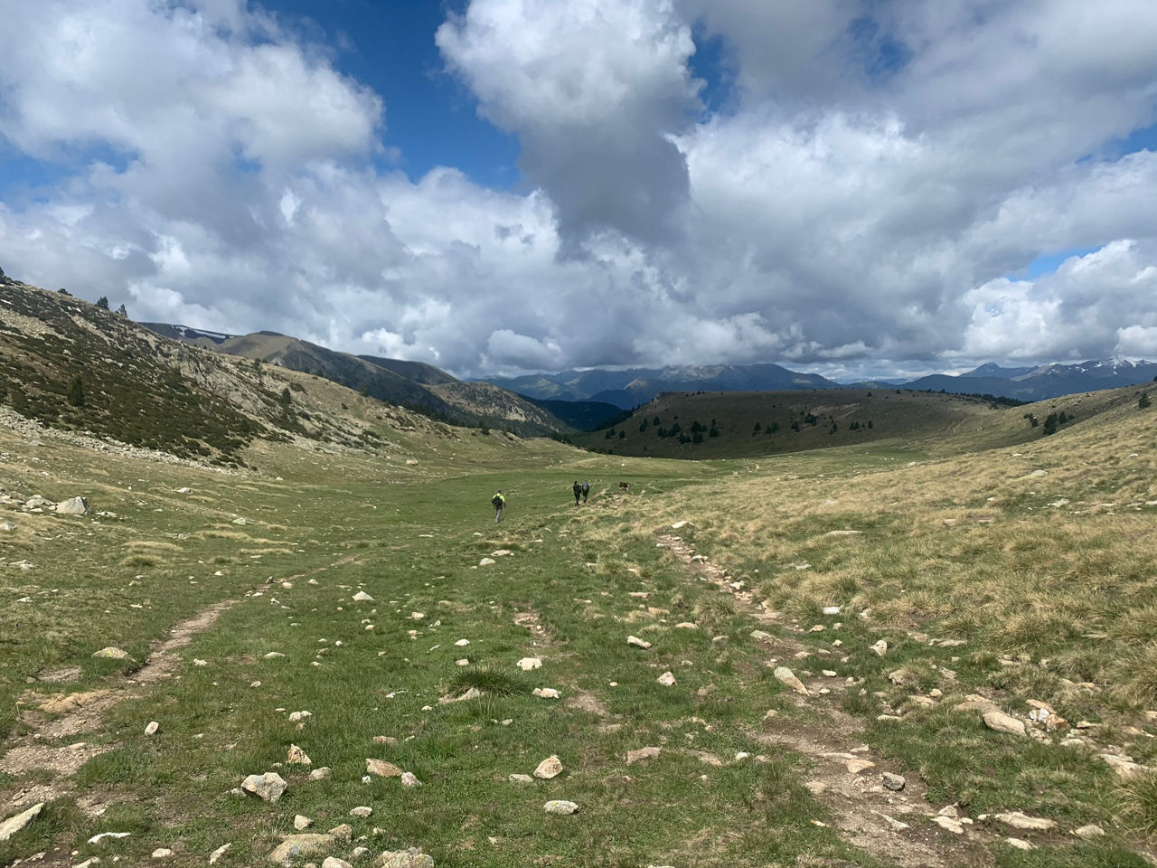 entre estall serrer i collada de la maiana1.jpeg