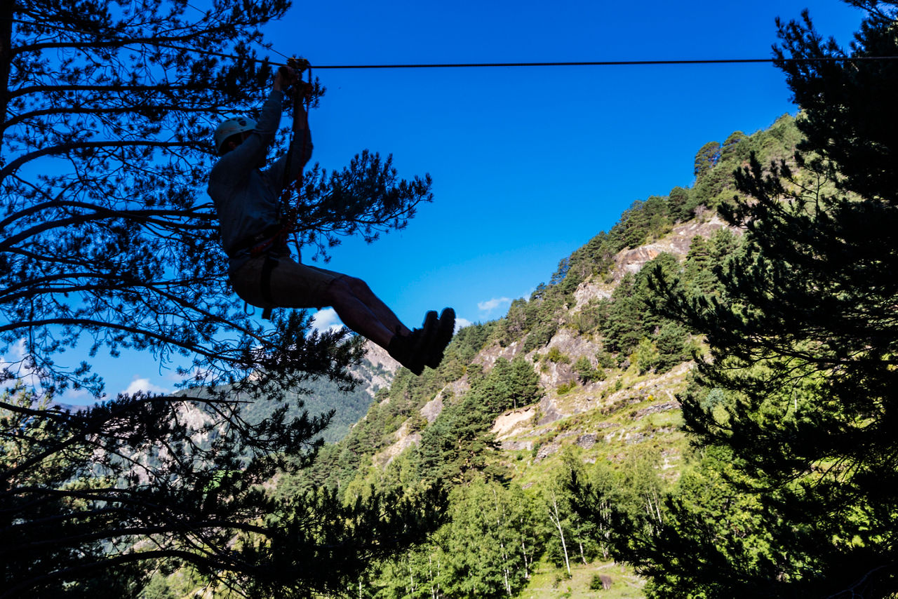 erv_20130924_5760_bosc_aventura_segudet.jpg