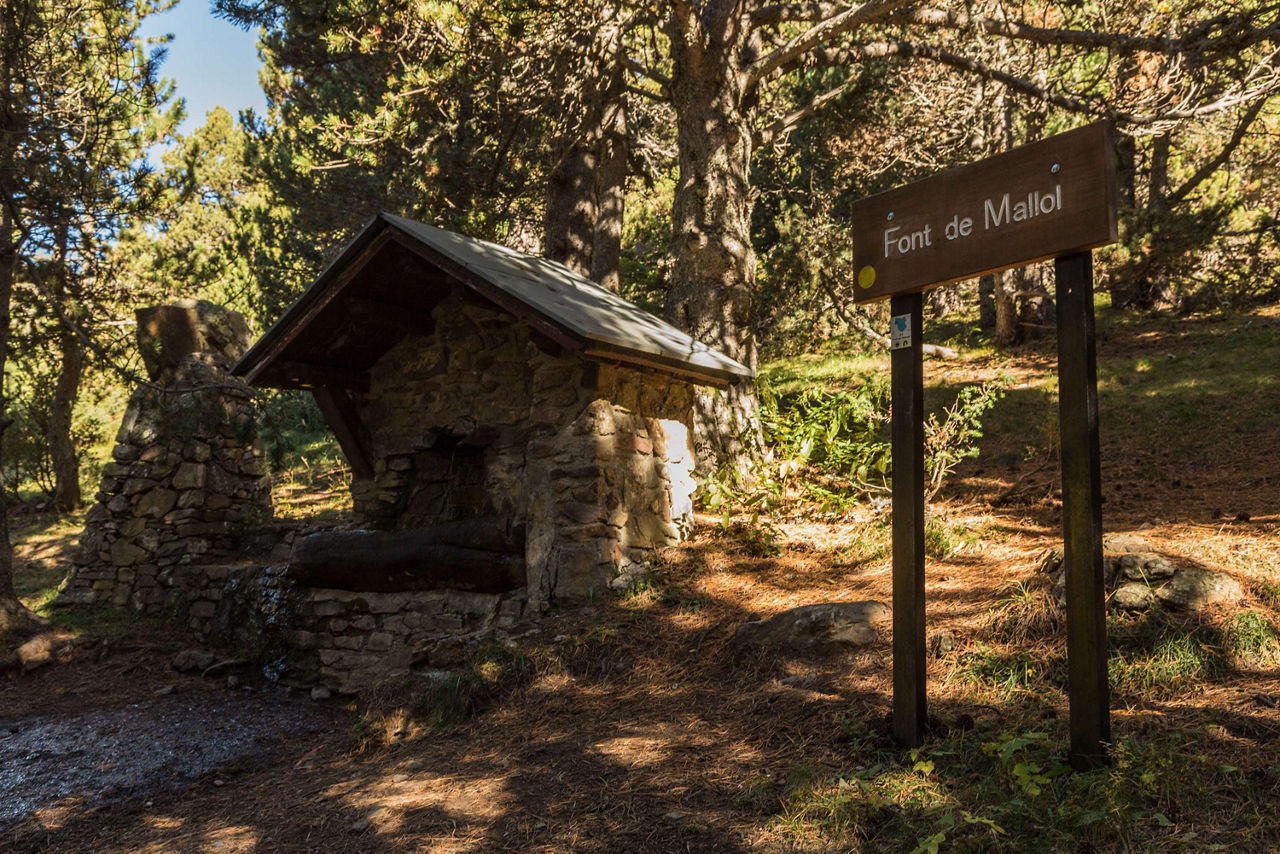 erv_20131030_0756_brenador_font_del_mallol-compressed.jpg