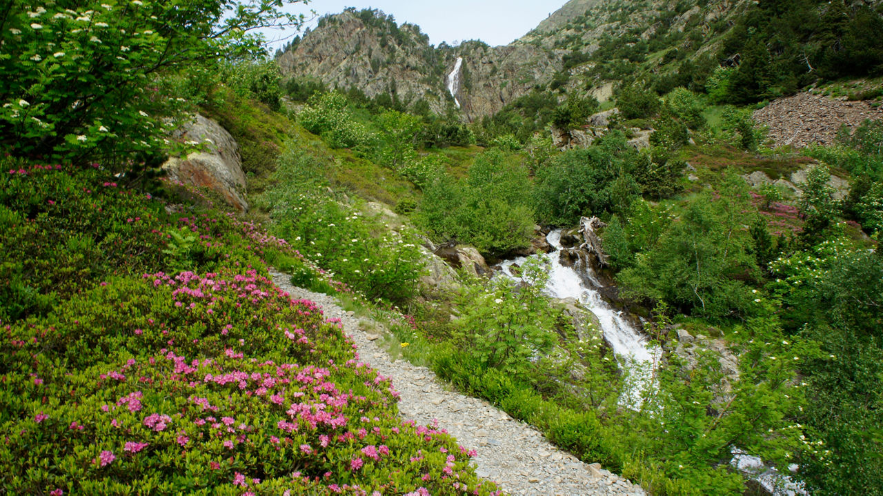 /content/dam/visitandorra/ca/assets/images/què-fer/natura/itineraris/trail-running-itineraries/grp5.jpg