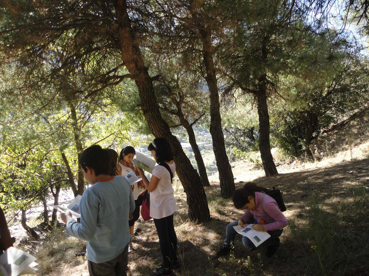 la moixera educacio ambiental - nordic walking.jpg