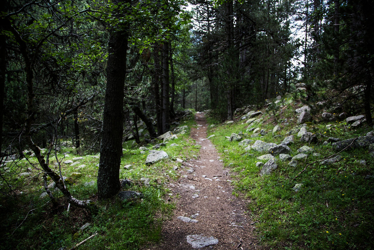 mcn_130726_1579vall_del_madriu.jpg