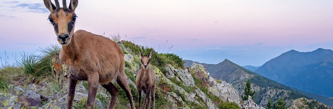 /content/dam/visitandorra/ca/assets/images/què-fer/natura/andorra-i-national-geographic/ng-1.jpg