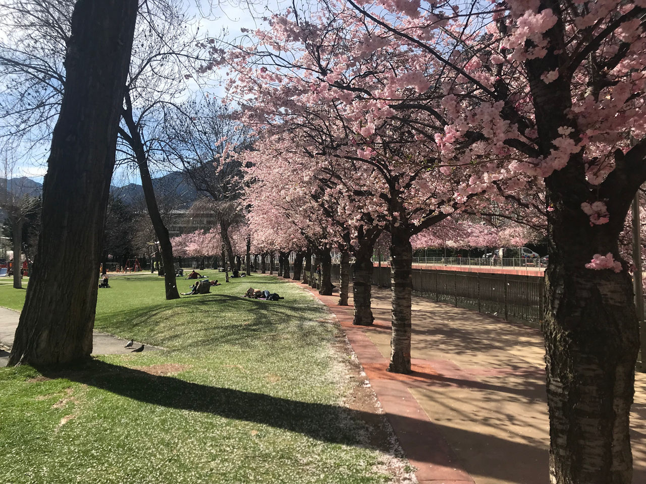 /content/dam/visitandorra/ca/assets/images/què-fer/cultura/cultural-itineraries/andorra-la-vella/parc central andorra la vella.JPG