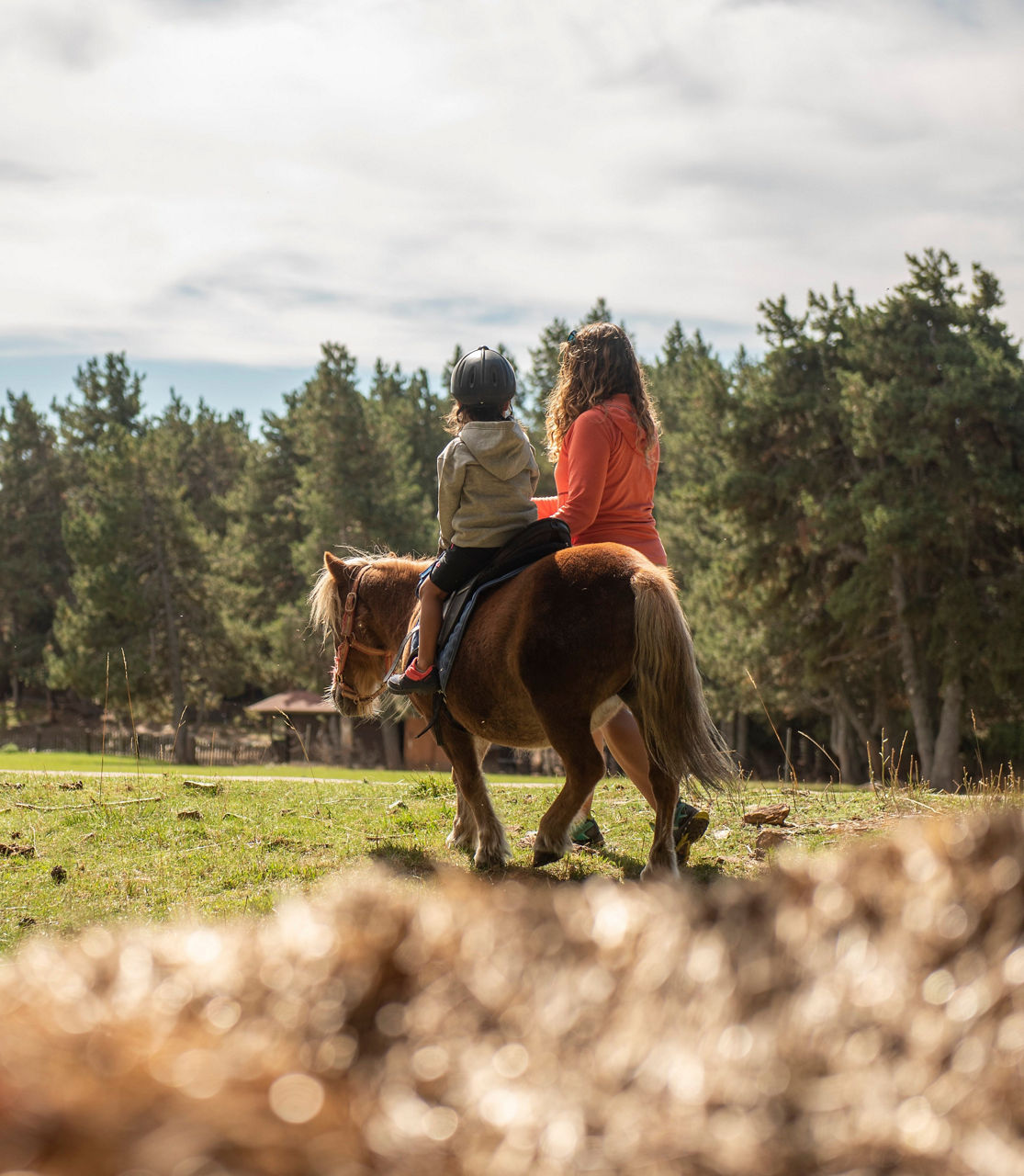 /content/dam/visitandorra/ca/assets/images/què-fer/natura/naturland-estiu/passeig en poni.jpg