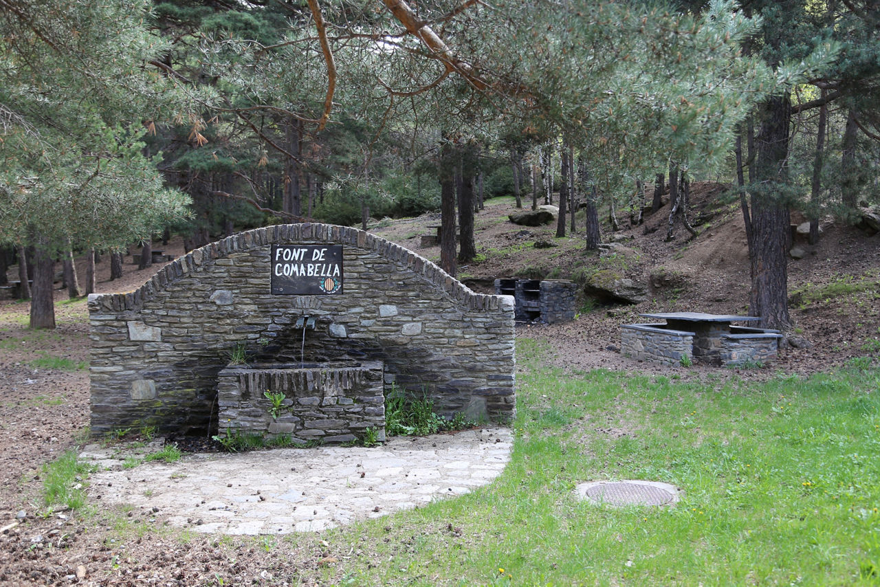 /content/dam/visitandorra/ca/assets/images/què-fer/gastronomia/zones-de-picnic/picnic-font-comabella.JPG