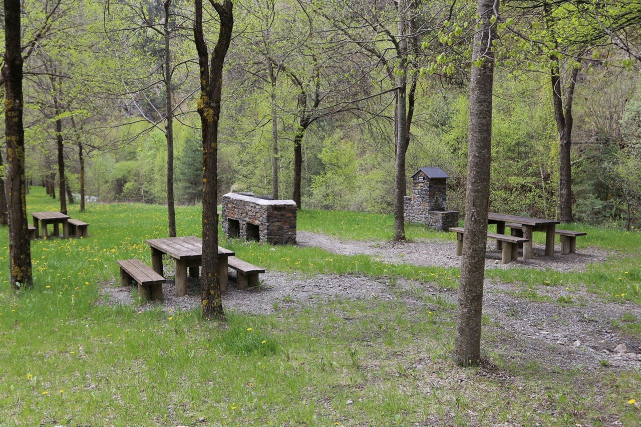 /content/dam/visitandorra/ca/assets/images/què-fer/gastronomia/zones-de-picnic/picnic-prat-gavatx.JPG