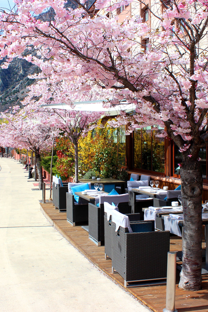 Esplanada Plató no Acta Arthotel