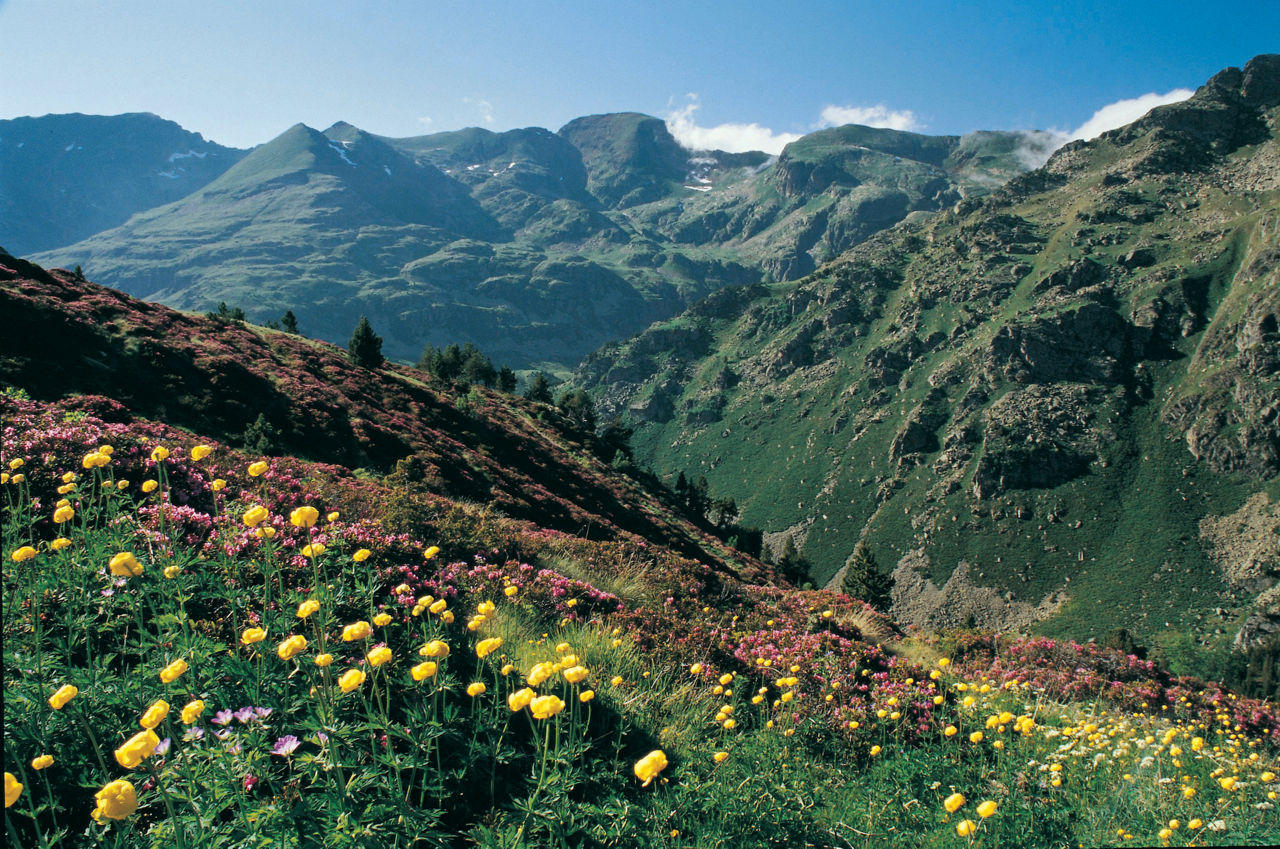 Paisajes de verano en Andorra