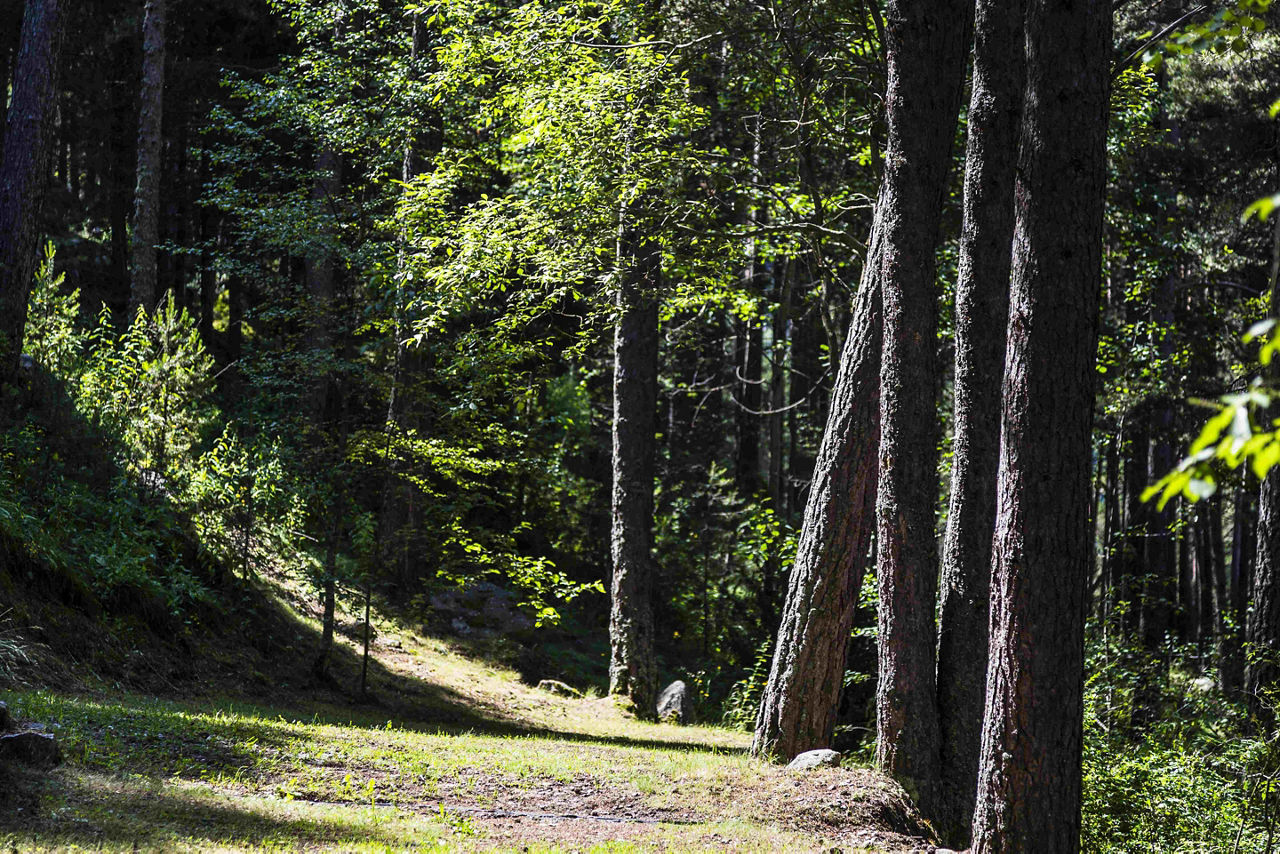 ruta senderisme_circuit_de_les_fonts_.jpg