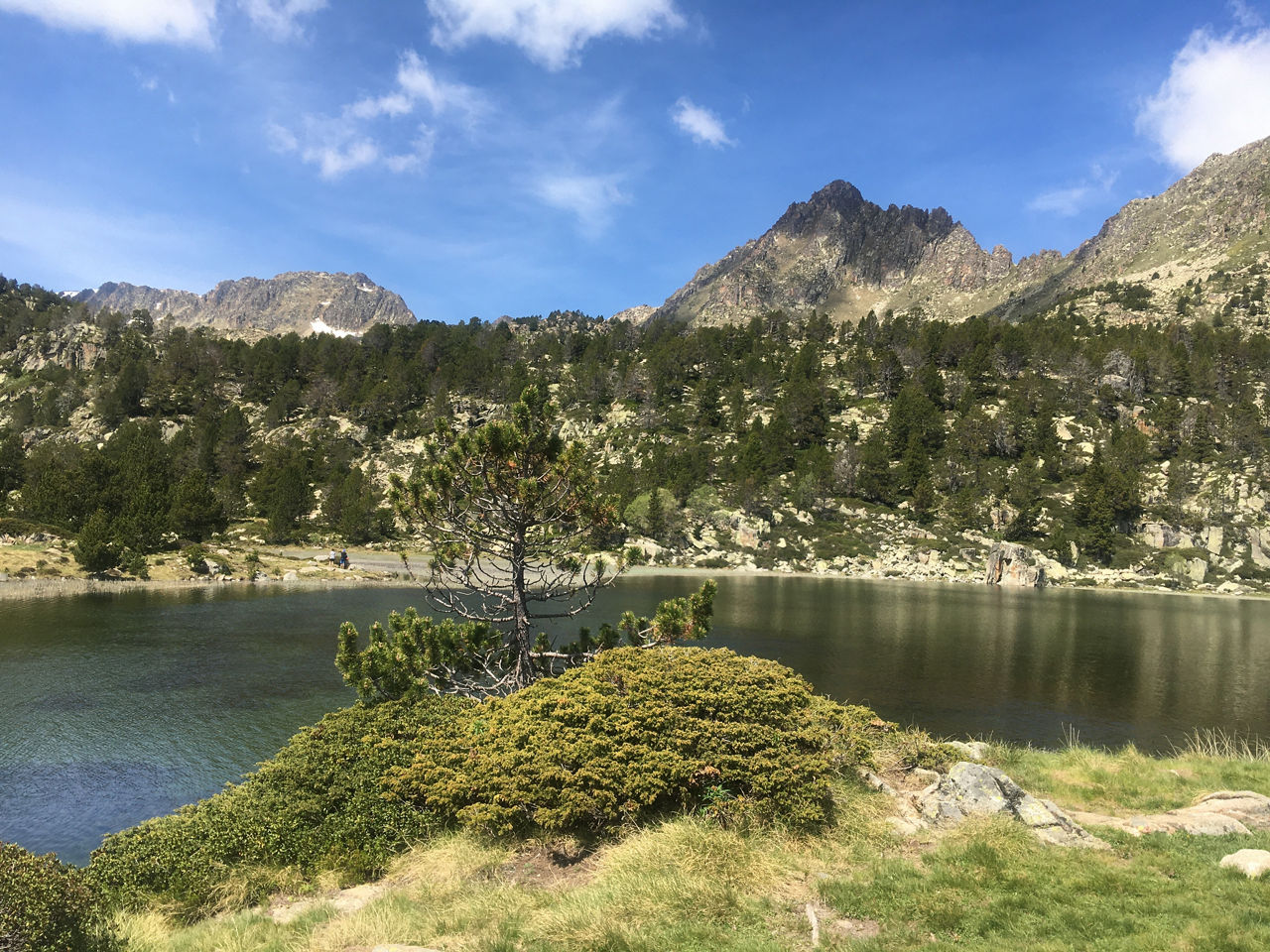 senderisme pessons (16).jpeg