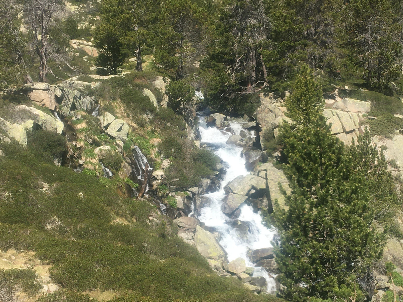 senderisme pessons (4).jpeg