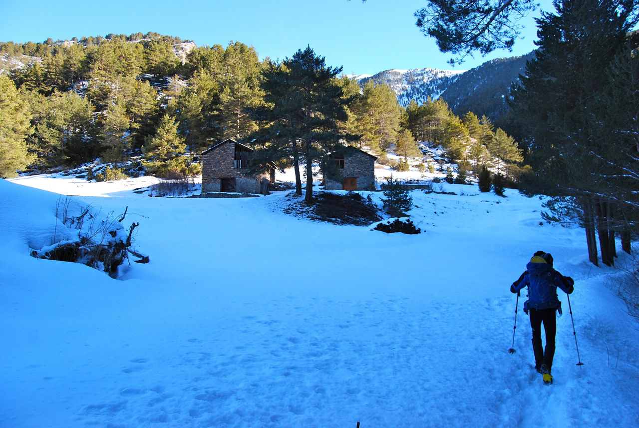 skimo-coll-d-ordino3.jpg