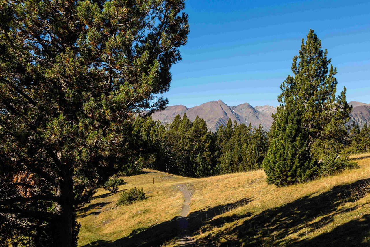 /content/dam/visitandorra/ca/assets/images/què-fer/cultura/cultural-itineraries/tomb_de_les_neres_cami saludable drets humans.jpg