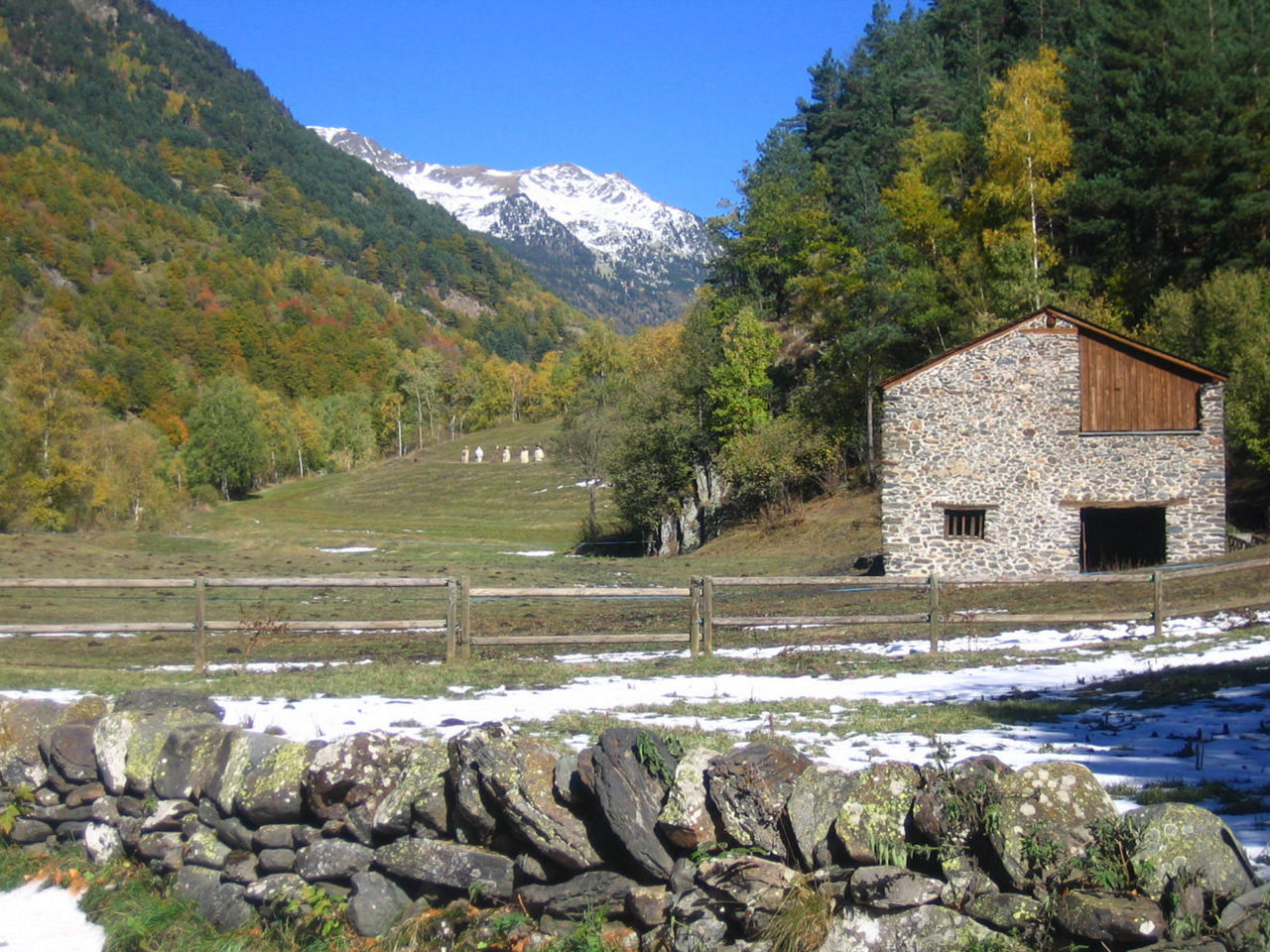 /content/dam/visitandorra/ca/assets/images/què-fer/natura/andorra-i-national-geographic/patrimoni-de-la-humanitat/vall d'Ordino-2048x2048.jpeg