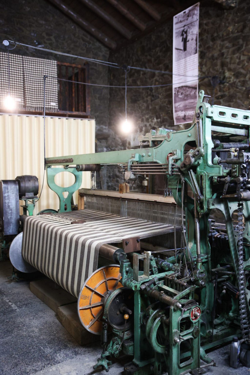 vital pirineus 3.jpg