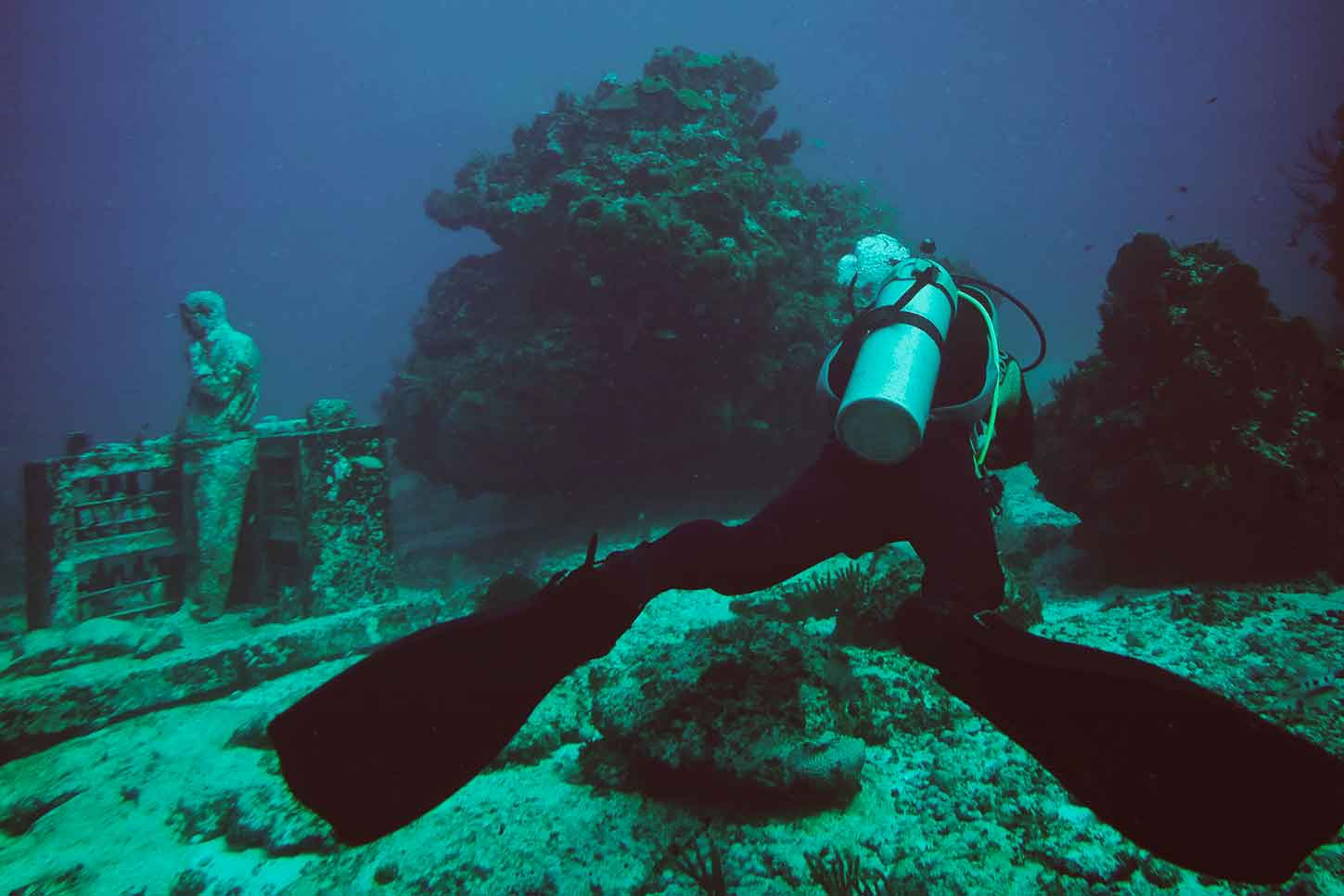 BF2021-RRSS-Organico-Pin-and-Travel_ 1449 × 966 (1)