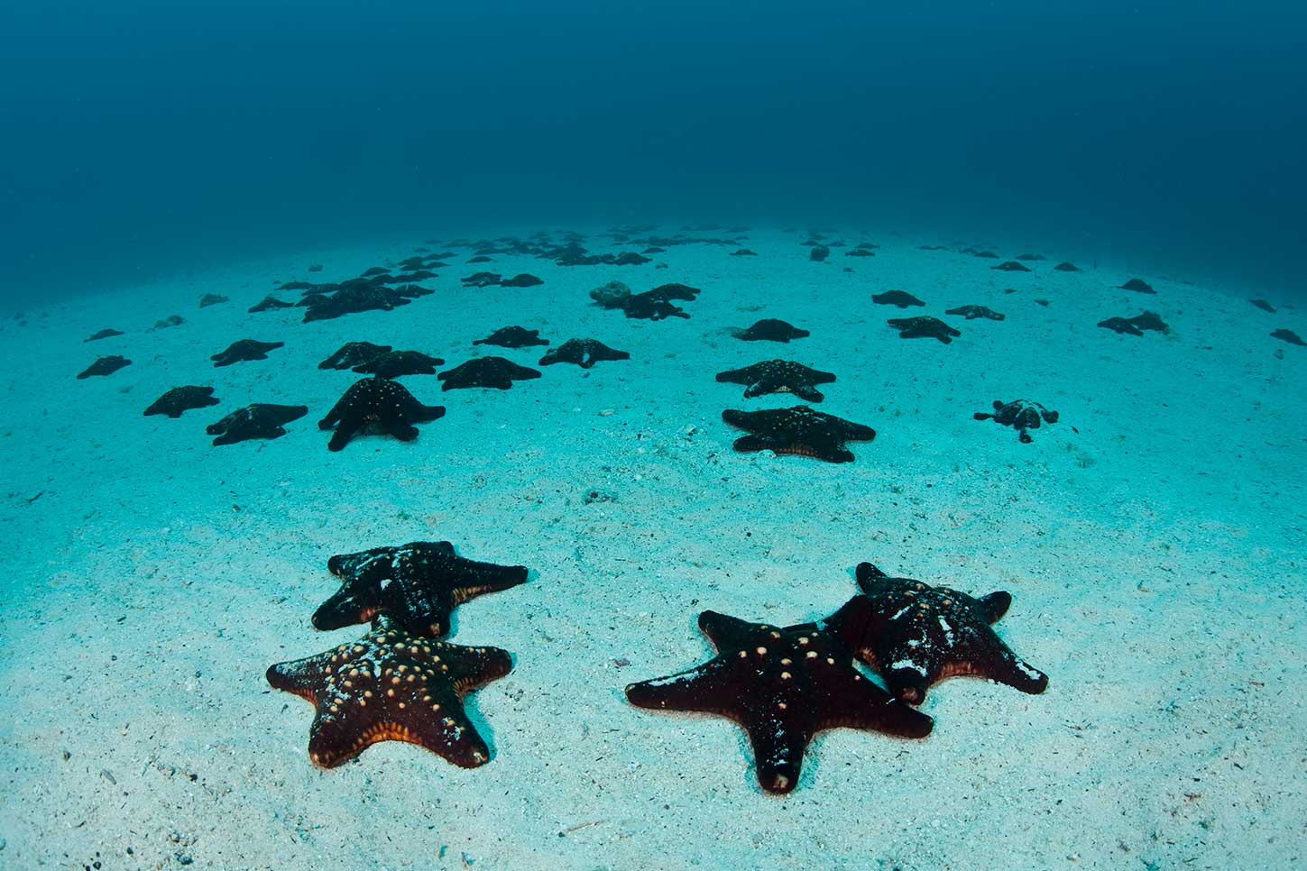 Torre Galata Estambul